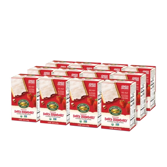 Nature's Path Organic Frosted Berry Strawberry Toaster Pastries, 11oz Box (pack of 12)