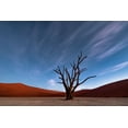 thumbnail image 2 of Ruoppolo, Luigi 18x13 Gold Ornate Wood Framed with Double Matting Museum Art Print Titled - Deadvlei At Dusk, 2 of 4