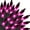 Purple, variant on Battery Operated Christmas Lights, 2 Pack 17ft 50 LED Mini String Lights with Timer 8 Modes Waterproof Tree Lights for Outdoor Indoor Xmas Garden Party Decor, Multicolor