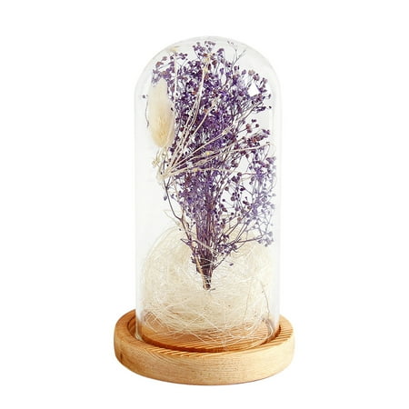 

Tomshine Gypsophila Romantic Simulation Glass Cover Led Micro Landscape Home Night Light Decor