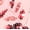 Pink Coral, variant on Sequin Embellished Mini Skirt, Women's XXS-XXL