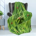 thumbnail image 4 of Ladybug Soft Flannel Fleece Blanket, Ladybug over Fresh Grass Divided Collage Vibrant Life Lawn Foliage Theme Vegetaiton, Cozy Plush for Indoor and Outdoor Use, 50" x 60", Green Red, by Ambesonne, 4 of 5