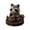 Raccoon Beading Craft Kit, variant on Animal Beading Craft Set DIY 3D Rabbit Moon Star Handmade Decoration Supplies for Home Tabletop Display Creative Art Project for Teens Adults New Craft Beginners