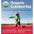 thumbnail image 5 of Pure Co 25,000mg Organic Cranberry Pills 50:1 Concentrate Kidney Support Supplement, 60 Capsules, 5 of 11
