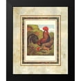thumbnail image 2 of Ludlow, J.W. 15x18 Black Modern Framed Museum Art Print Titled - Brown Leg Horn, Cassells Poultry Book, 2 of 5