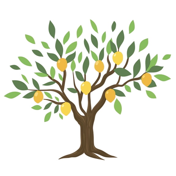 Huge Tree with Fruits Artwork Design for Kid's Room Vinyl Wall Decal - Mangoes Hanging on a Tree Art for Nursery Wall Decoration 28" x 21"