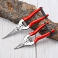 thumbnail image 2 of Stainless Steel Pruning Scissors Gardening Scissors Household Fruit Picking Grape Scissors Garden Branch Pruning Tools long straight, 2 of 6