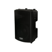 12" 2-Way Self-Powered Speaker