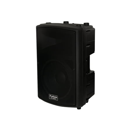 12" 2-Way Self-Powered Speaker