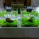 thumbnail image 4 of 5W Ultra-thin Aquarium LED Light Ultra Bright Clip-on Lighting Lamp 12 LEDs for Aquarium Fish Tank, 4 of 5