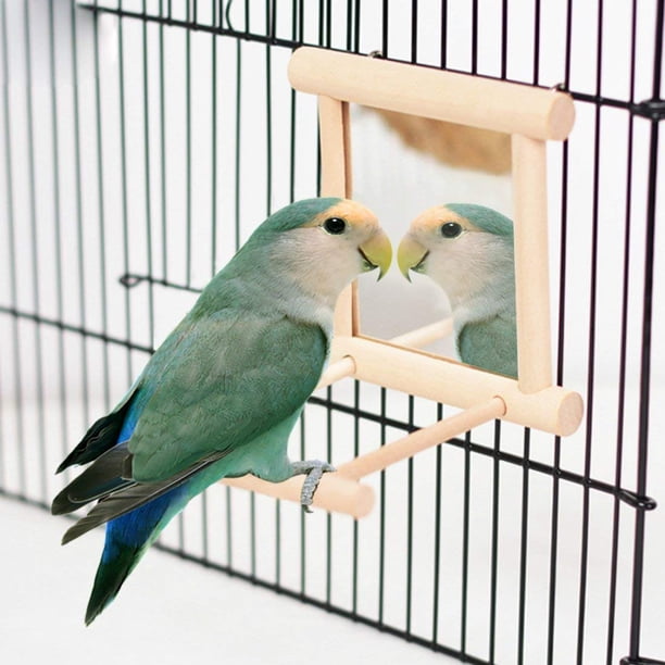 Espejo para pájaros, columpio colgante de madera, juguetes interactivos para loros pequeños, periquitos, guacamayos, periquitos grises africanos (espejo para pájaros)