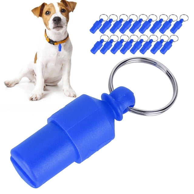 Cat ID Tag, Custom Dog Tags Pet ID Tags For Cats 20pcs Cat Tags Personalized AntiLost Pet ID Tags Barrel Tube Collars Name Address Identity Label Pendants For Puppy Kitten Dog