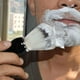 thumbnail image 2 of Brocha de afeitar para hombres shamjiam herramienta de limpieza de peluquero resina azul, 2 of 8
