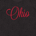thumbnail image 4 of Inktastic Ohio Women's Plus Size T-Shirt, 4 of 5