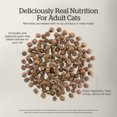 thumbnail image 5 of Feline Adulte Sans Grains - Nourriture Sèche pour Chat, 5 of 5