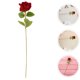 thumbnail image 1 of unbranded 10Ud Rosas Decorativas Artificiales Para Ambientar Espacios Con Toque Y Duradero, 1 of 8