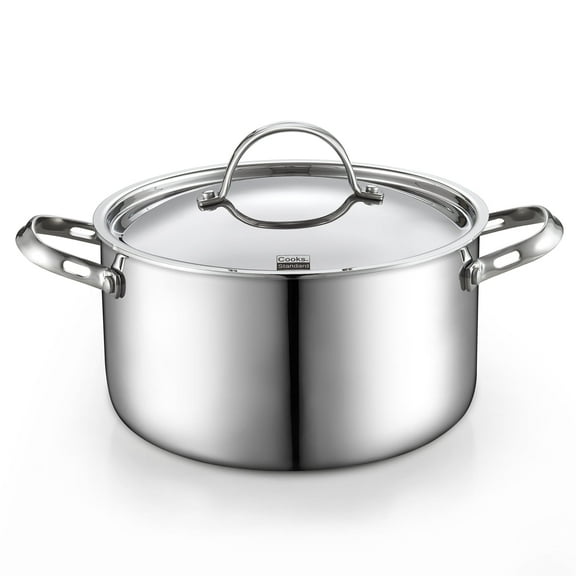 Cooks Standard Multi-Ply Clad Stainless Steel Stock Pot, 6-Quart Pasta Cooking Canning Pot with Lid, Deep Stockpot Induction Cookware