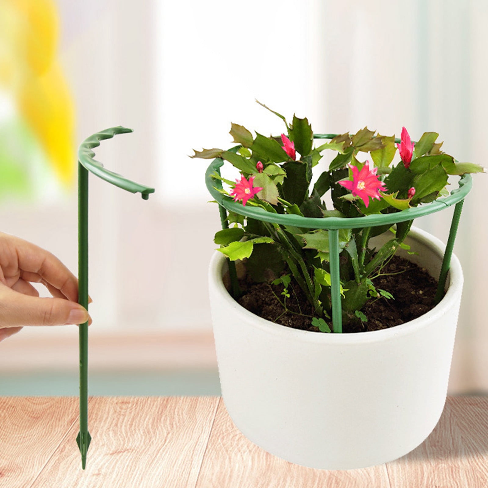 2025 New Support Stake, 6PCS Half Round Support Ring Cage, Flower Pot Climbing Trellis for Clivia, Roses, Hydrangea, Indoor (5.9 x 5.7 in)