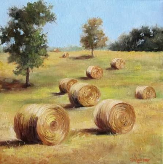 Round Hay Bales Can