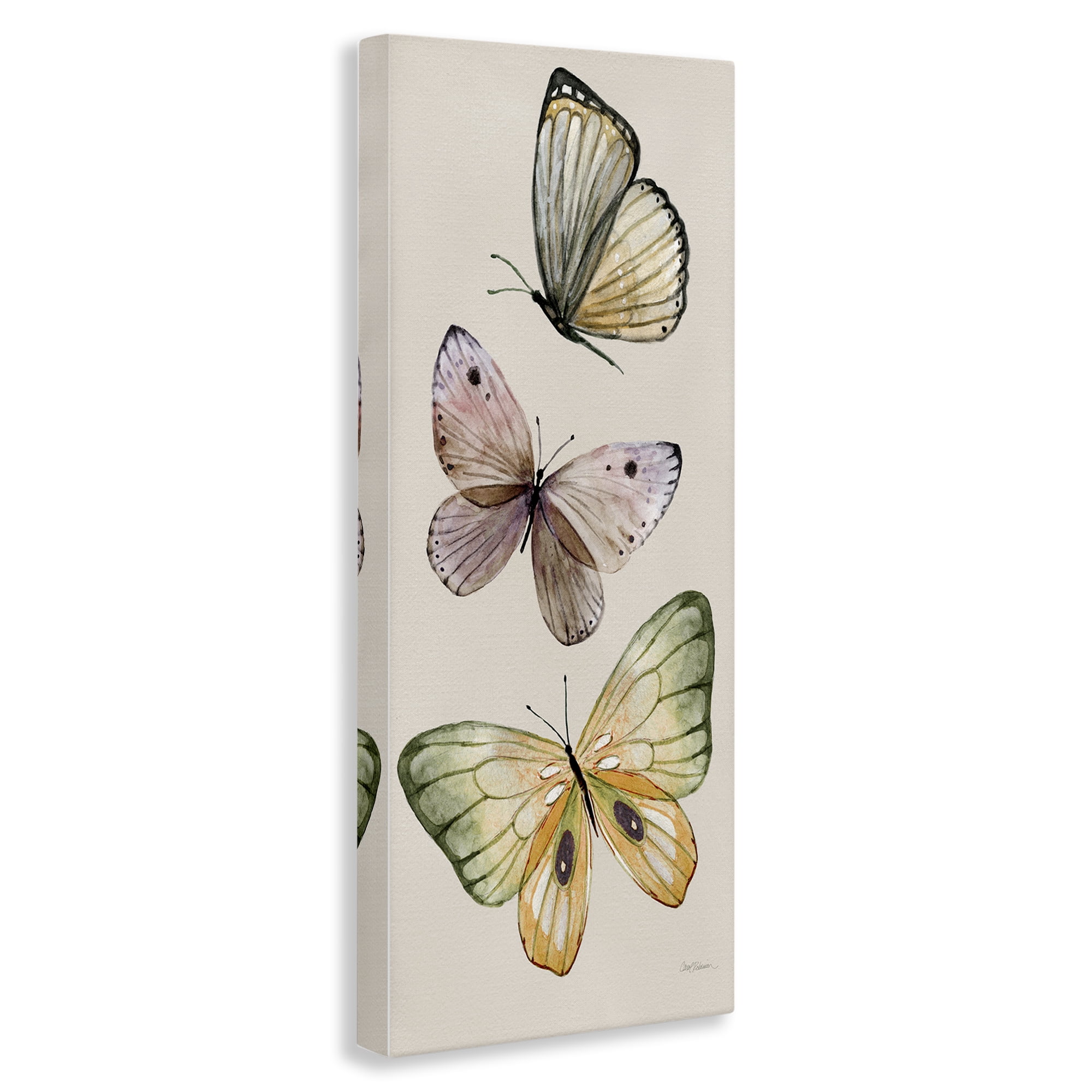 Stupell Industries Fluttering Butterfly Trio Animals & Insects Painting Gallery Wrapped Canvas Art Print Wall Art, 20 x 48