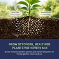 thumbnail image 6 of Palmetto Vermiculite Coarse Grade A-3, Outdoor Gardening & Soil Potting Mix, 4 Cu Ft Bag, 6 of 11
