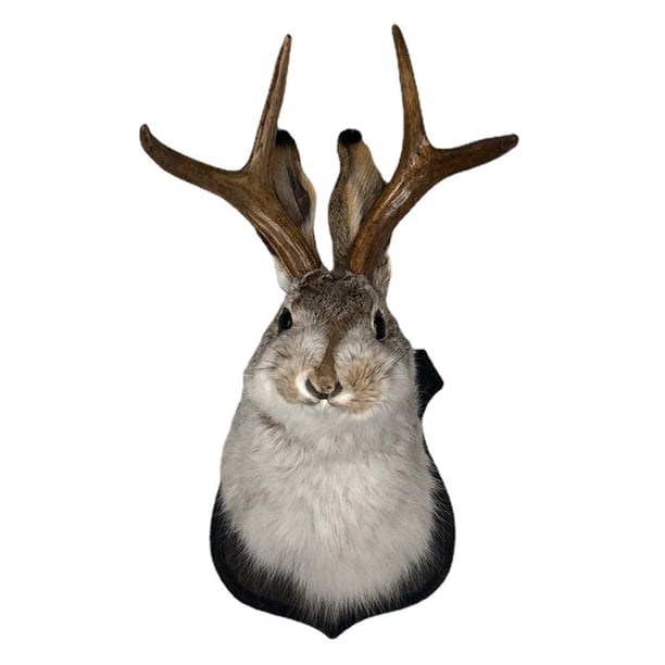 Deer Head Wall Mount Taxidermy, Animal Head Wall Decor, 3D Rabbit