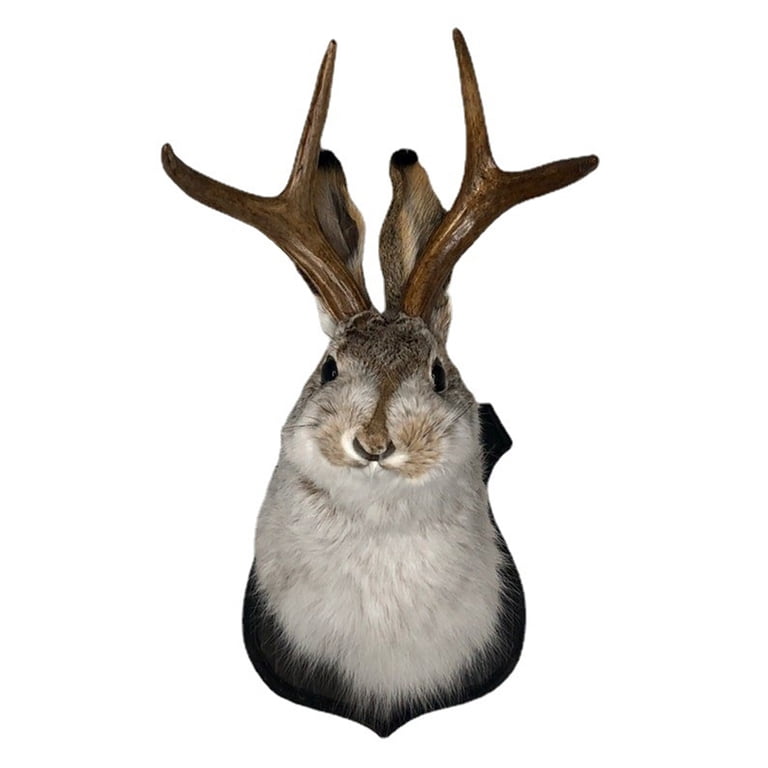 3D Jackalope Taxidermy Deer Head Wall Mount, Rabbit Figurine for