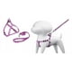 thumbnail image 1 of Correa Para Perro Pug, French Poodle, Con Pechera 6 Colores., 1 of 4