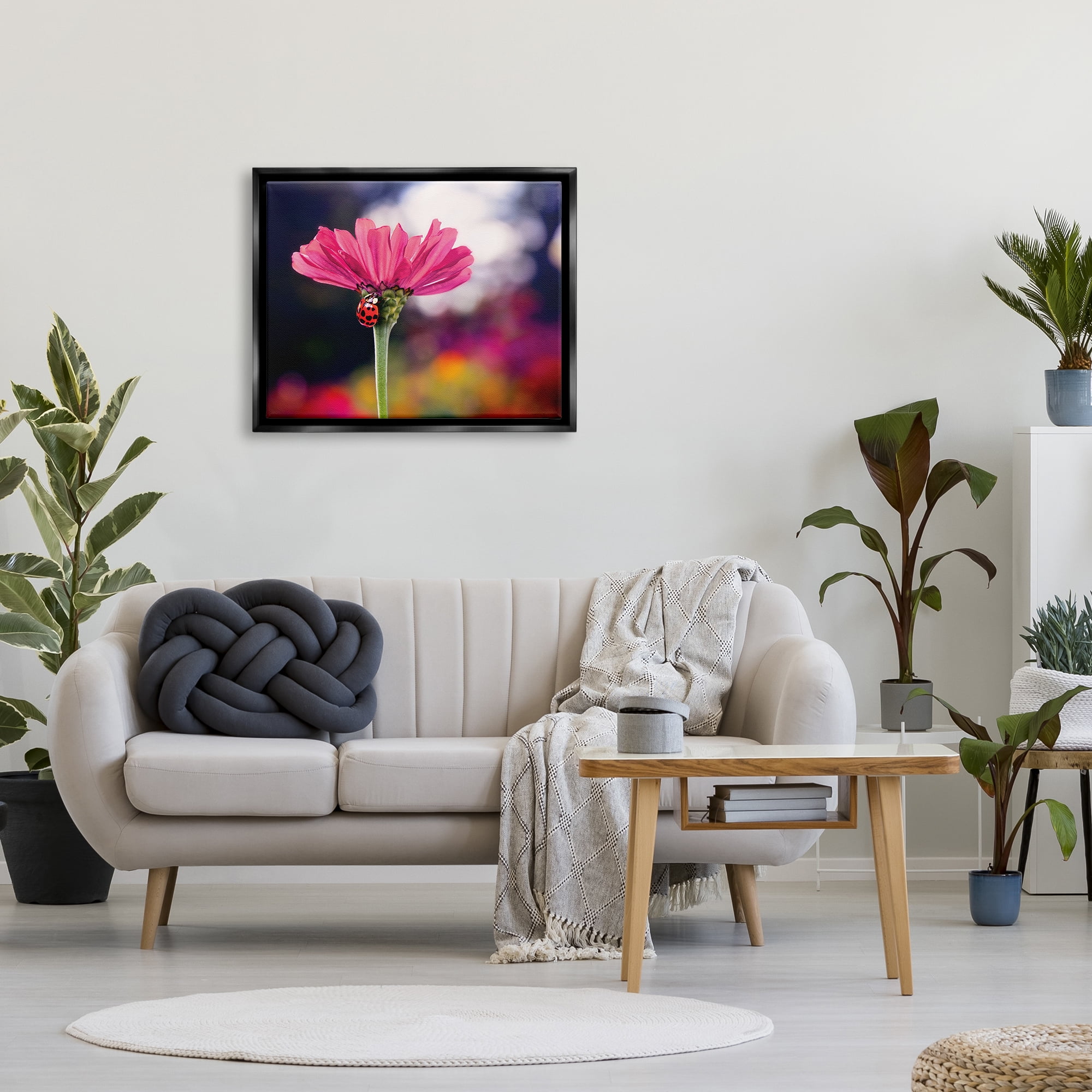 Stupell Industries Ladybug with Pink Flower Animals & Insects Photography Black Floater Framed Art Print Wall Art, 31 x 25