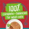 thumbnail image 6 of Purina Friskies Tasty Treasures Pate, Beef Liver, Wet Cat Food, 5.5 oz Cans, 24 Pack, 6 of 10