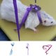 thumbnail image 3 of Methold Arnés de nailon para mascotas, correa para hámster, arneses ajustables para hurón, rata, ratón, conejito, chaleco, correa de cuerda Aseo de mascotas púrpura, 3 of 6