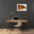 thumbnail image 4 of Alan Hausenflock 32x23 White Modern Wood Framed Wall Art Titled - Autumn Mist III, 4 of 5