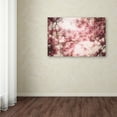 thumbnail image 3 of Trademark Fine Art 'Spring Colors' Canvas Art by Philippe Sainte-Laudy, 3 of 3