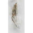 thumbnail image 2 of Roko, Ken 14x24 White Modern Wood Framed Museum Art Print Titled - Golden Feather II, 2 of 4