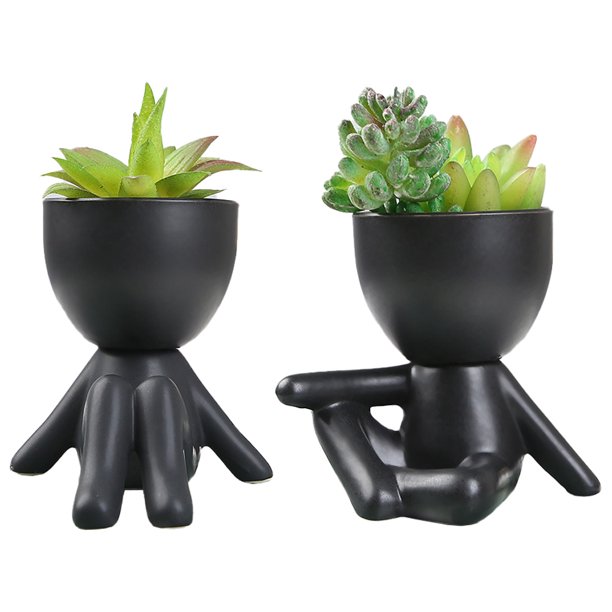Lindos adornos vegetales: simulación de un lavabo de cerámica humanoide moderno en maceta carnosa