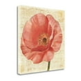thumbnail image 2 of Tangletown Fine Art 'Blushing Poppy on Cream' Print on Wrapped Canvas, 2 of 2