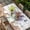 Lavender SlateBlue Ivory, variant on Purple Lavender Table Cloths for 4 Foot Rectangle Tables, Spring Floral Daisy Butterfly Leaves Beige Patio Waterproof Elastic Fitted Tablecloths, Washable Rectangular Table Cover for Camping