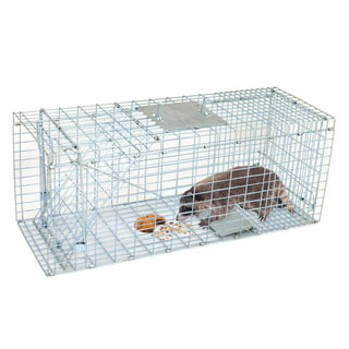 Bowoshen 24 Squirrel Trap Heavy Duty Metal Humane Live Vermin Pest Animal  Large Cage Catcher
