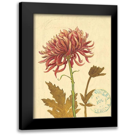 Barrett, Chad 12x14 Black Modern Framed Museum Art Print Titled - Natures Curiosities 5