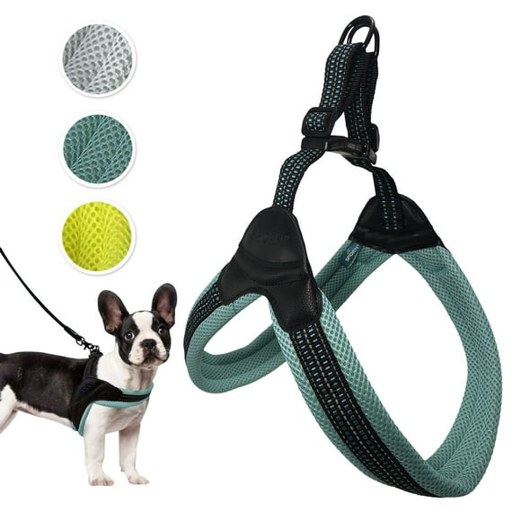Sporn Easy-Fit Mesh Dog Harness, harnais respirant et facile à porter, Turquoise, Small