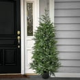thumbnail image 2 of 5 ft. Cypress Tree with Multi-Function LED Lights, 2 of 4
