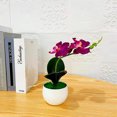 thumbnail image 3 of Gwong Decoración hogareña 1 set Fake Bonsai Realistic Antid Fade Faux Silk Flow Flexi Party Fake Butterfly Orchid Flowers Plant For Decorating Gwong 21068071, 3 of 6