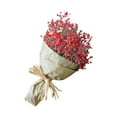 thumbnail image 2 of Hbdhejl Natural Dried Flower Home Decor Natural Dried Flower Full Stars Gypsophila, 2 of 4