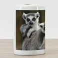 thumbnail image 3 of Lemur Ceramic Toothbrush Holder, Photo of 3 Ring Tailed Wild Animals Watching Carefully, Decorative Versatile Countertop for Bathroom, 4.5" X 2.7", Fawn Pale Mauve Taupe, 3 of 4
