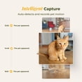 thumbnail image 3 of Comedero automático para gatos ARENTI con cámara 4L WiFi App Control, 3 of 9