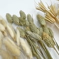 thumbnail image 4 of Bergamo Art 14 Inch High Real Preserved Mixed Bouquets Mix 2 in Medium, 4 of 9