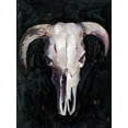 thumbnail image 2 of Parker, Jennifer Paxton 19x24 Black Ornate Wood Framed with Double Matting Museum Art Print Titled - Horned Skull I, 2 of 4
