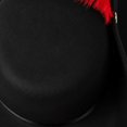 thumbnail image 7 of Slccxzc Vintage Gentleman Fedora Cap Feather Decor Wide Brim Top Hat Formal Gala Night Outfit Headwear, 7 of 7