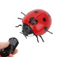 thumbnail image 4 of Toy, Profitable Necessary Eminent Primary  For Indoor, 4 of 8