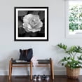 thumbnail image 3 of Art.com Sweet Rose II Photo by Nicole Katano, Black Frame Wall Art, 38" x 38", 3 of 5